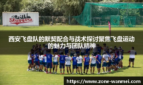 完美电竞平台